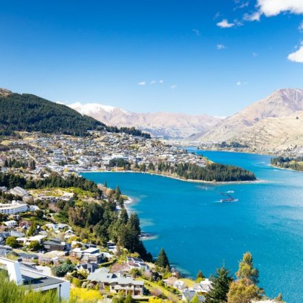 Queenstown New Zealand Social