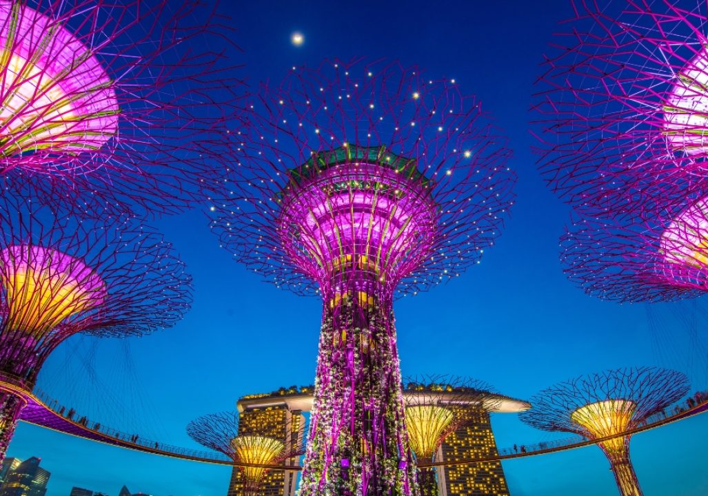 Singapore trees 1100x650 1