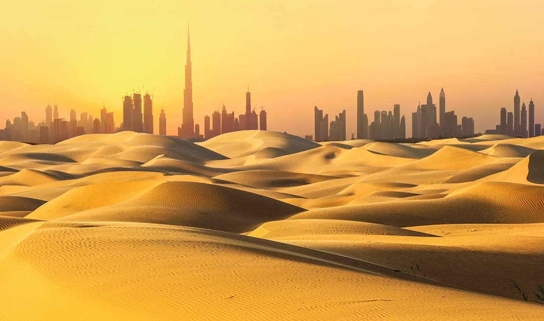 Newland Chase UAE Unemployment Insurance Expanded