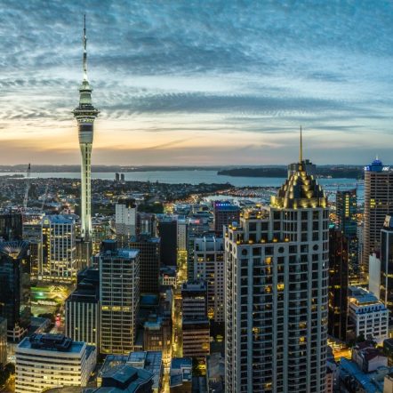 New Zealand skyline 1100x650