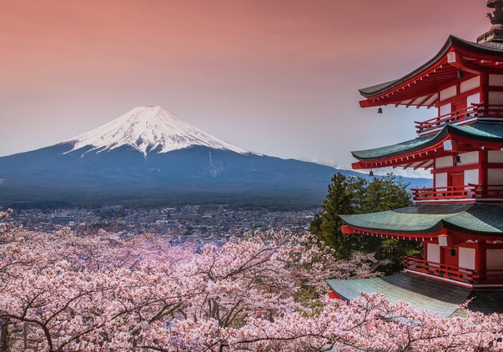 Chureito Pagoda with sakura & Beautiful Mt.fuji View