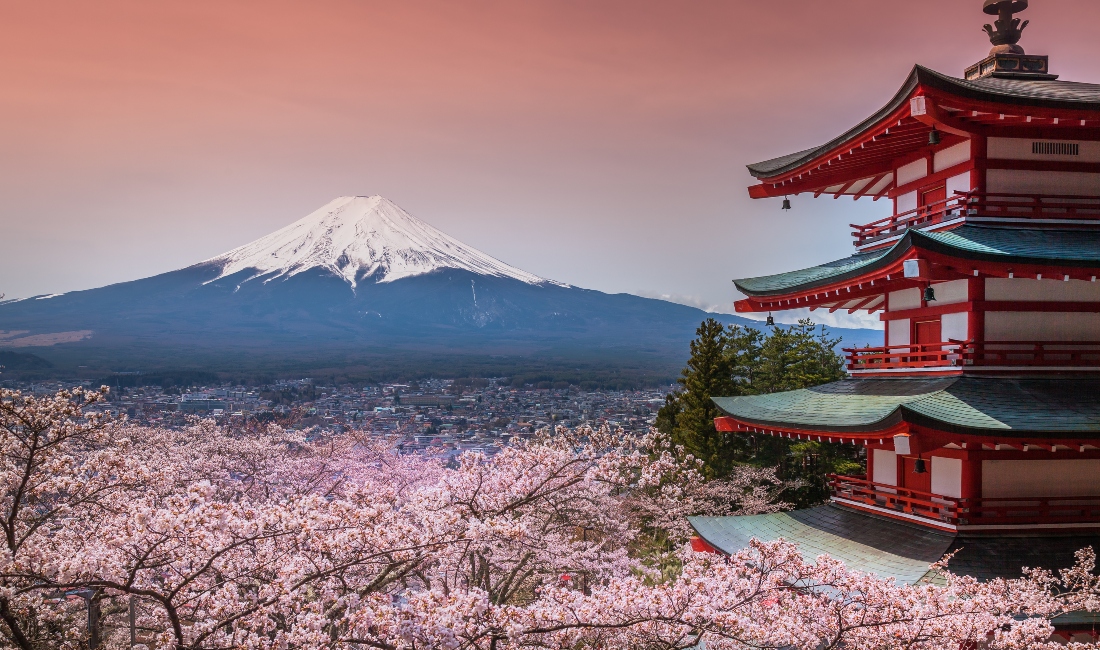 ニューランド・チェイス | 日本 – 電子ビザは11か国に延長されました