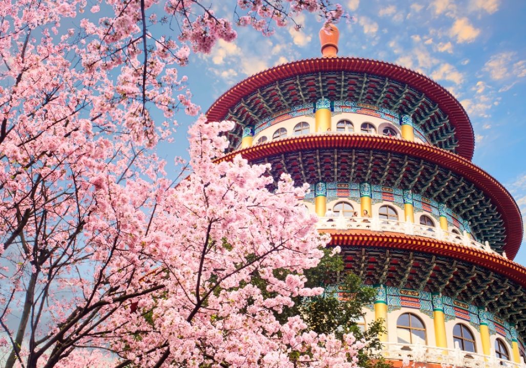 The beautiflu sakura garden with nice sky in Taipei, Taiwan