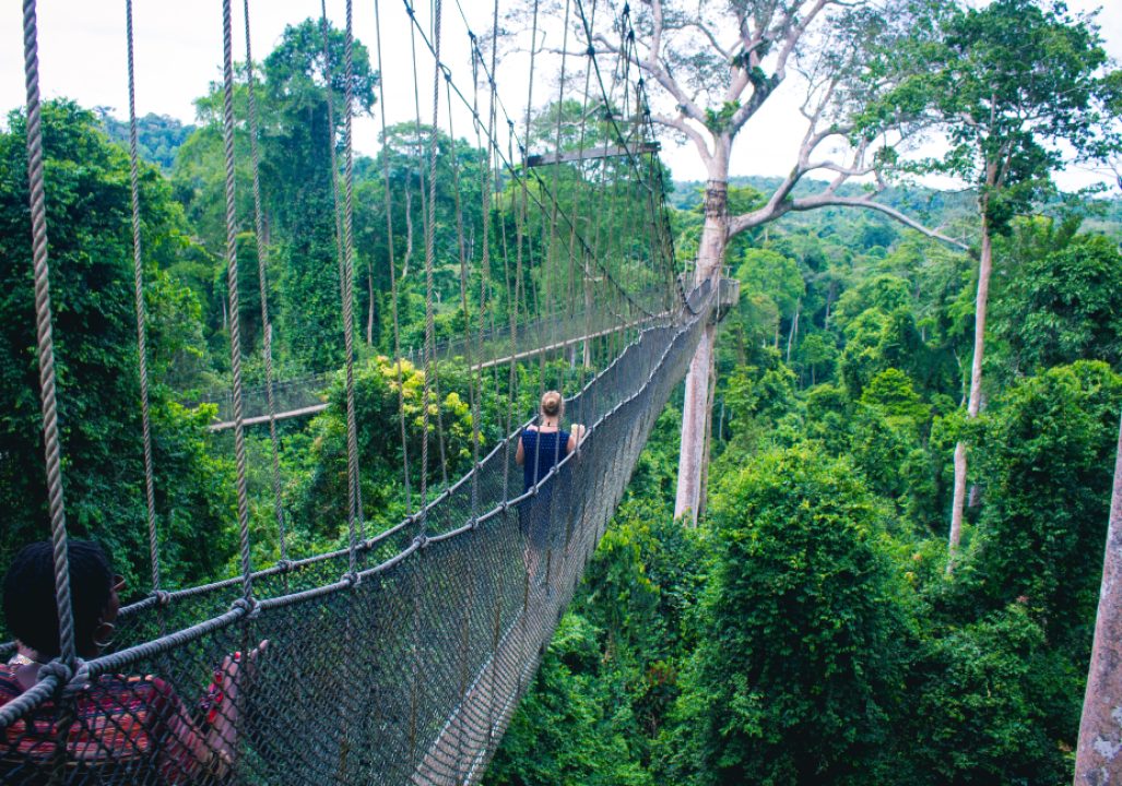 Ghana rope bridge 1100x650