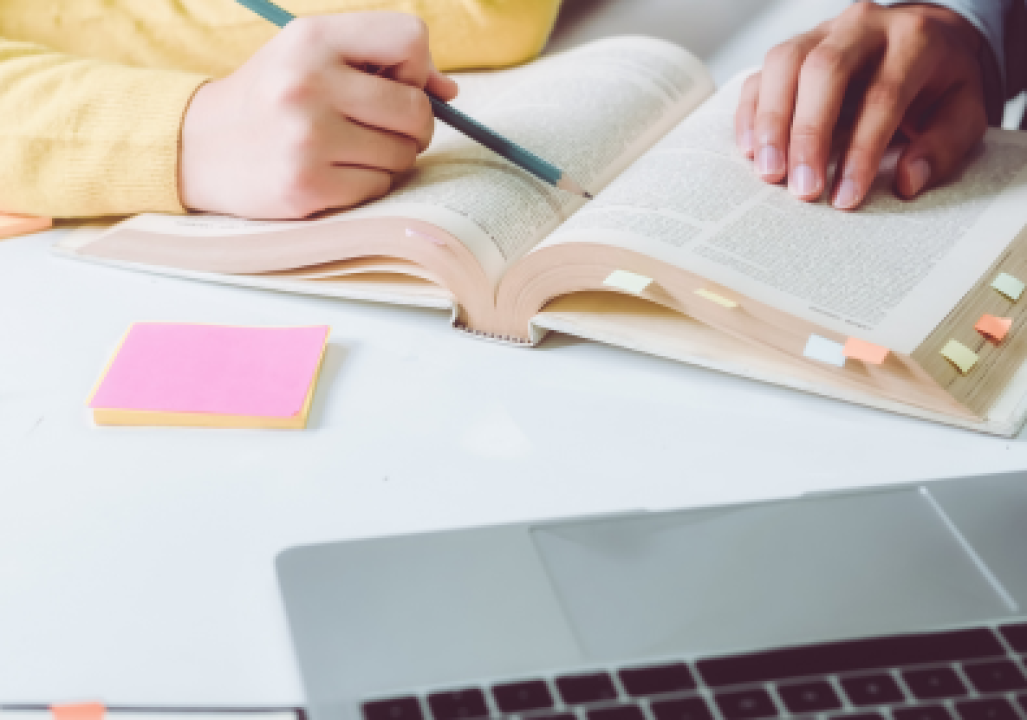 Newland Chase Education