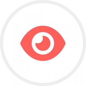 Vision icon