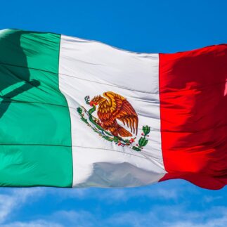 The flag of Mexico waving in the wind.