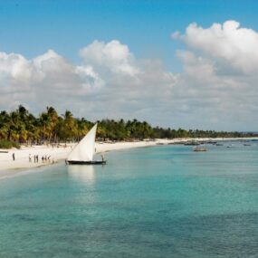 Pangane Beach, Mozambique's pristine white sand beach with clear turquoise water, palm trees, and traditional dhow boats.