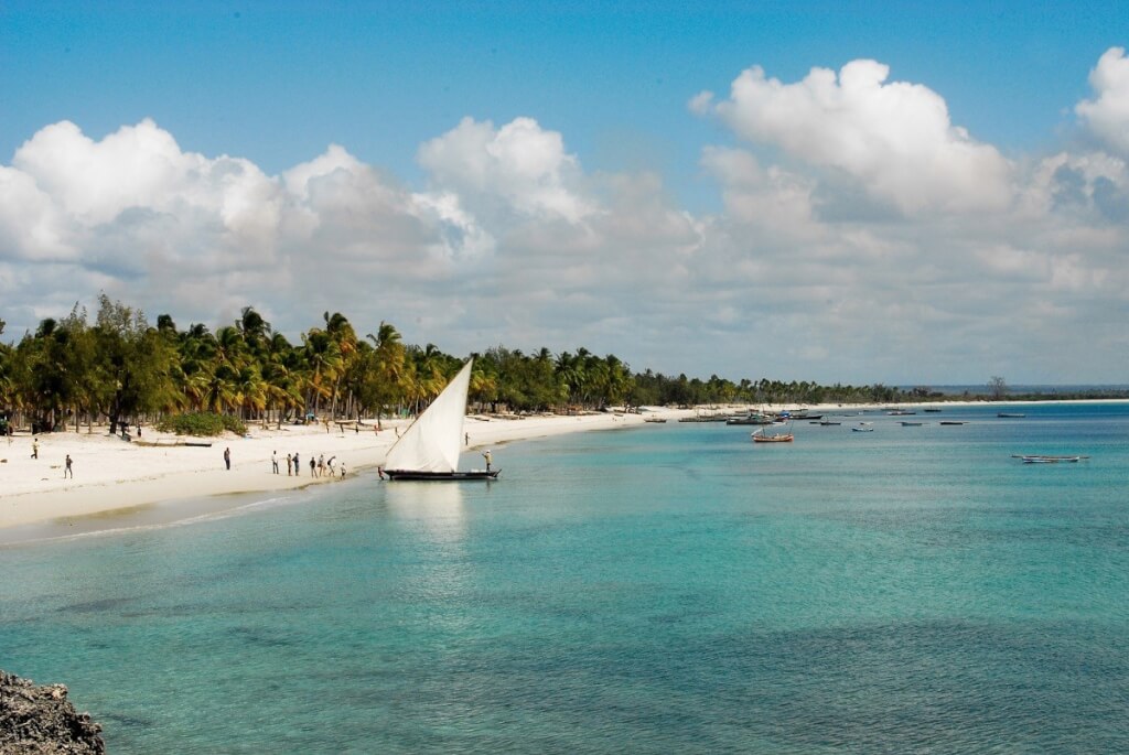 Pangane Beach, Mozambique's pristine white sand beach with clear turquoise water, palm trees, and traditional dhow boats.