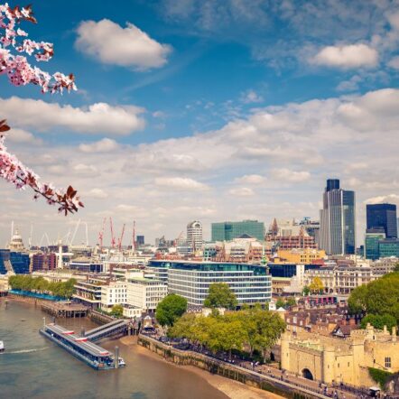 A view of London's skyline under a blue sky with clouds. Cherry blossoms frame the scene, and boats are on the Thames River. The Gherkin and city buildings are visible.