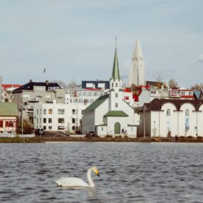 Hallgrímskirkja church in Reykjavik, Iceland. along the Tjörnin pond with a swan.