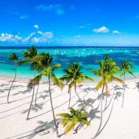 The Bahamas