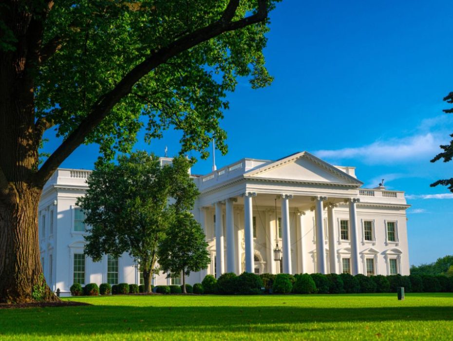The White House, Washington DC
